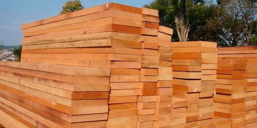 Duas Espécies De árvores Que Fornecem Madeira Utilizada Em Construções